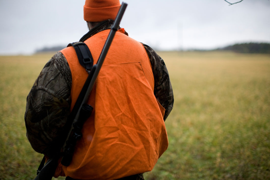 Canicule et Sanglier : le Rôle Clé des Chasseurs en Été
