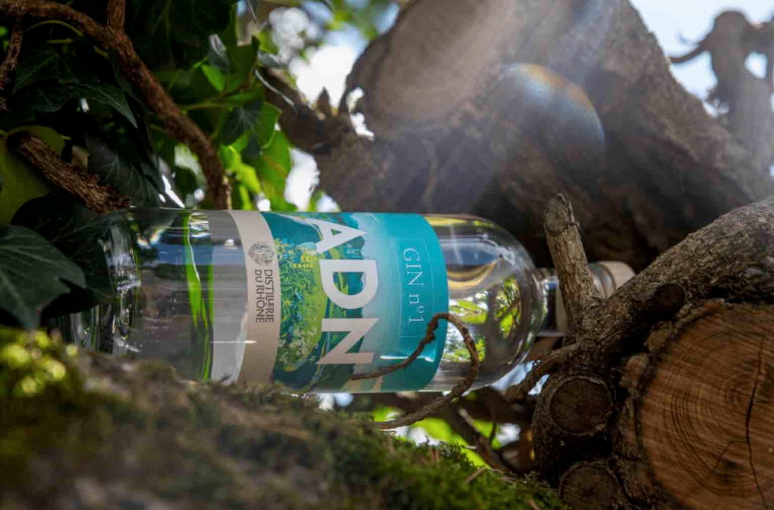 Rillette de sanglier sauvage 100% français au gin ADN et baies de Genièvre